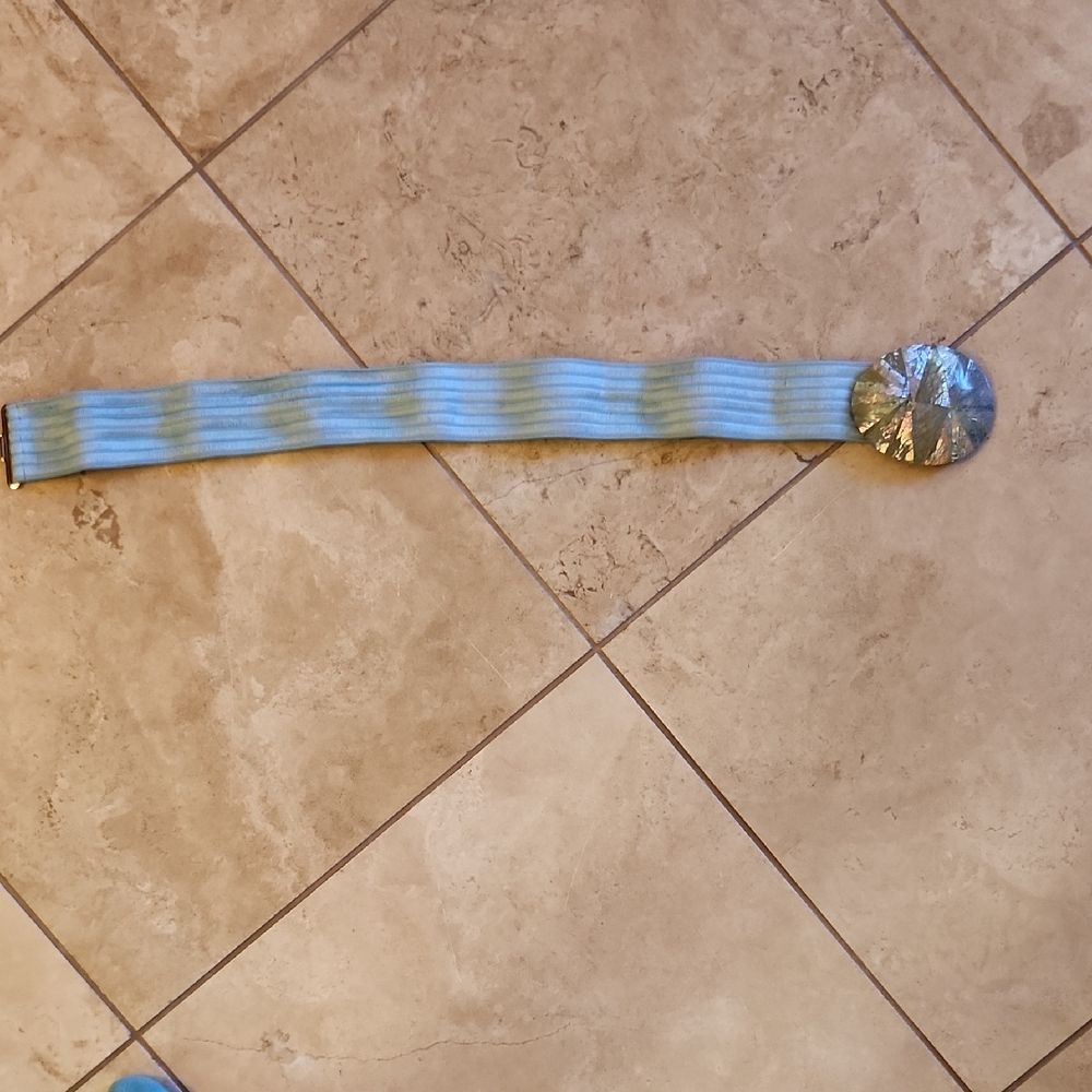 Iridescent Disc Stretch Belt in Light Blue